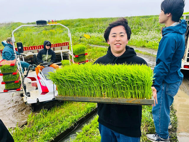 新入社員が涌谷町のブランド米「おもてなし」の田植えを体験しました