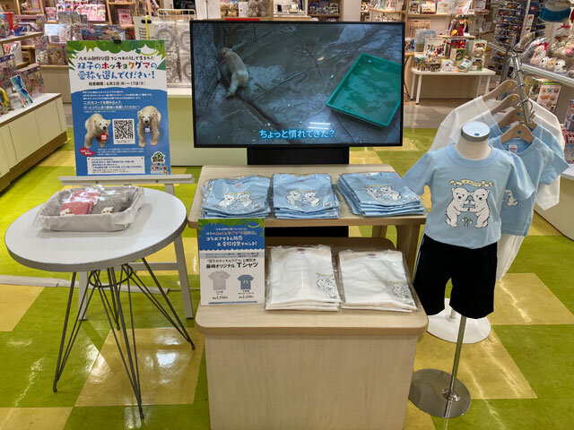 ホッキョクグマコラボアイテム