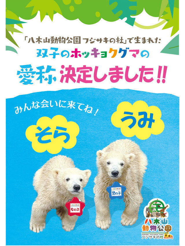 ホッキョクグマ愛称募集